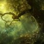 A Trilha Invisível: Explorando a Floresta da Mente